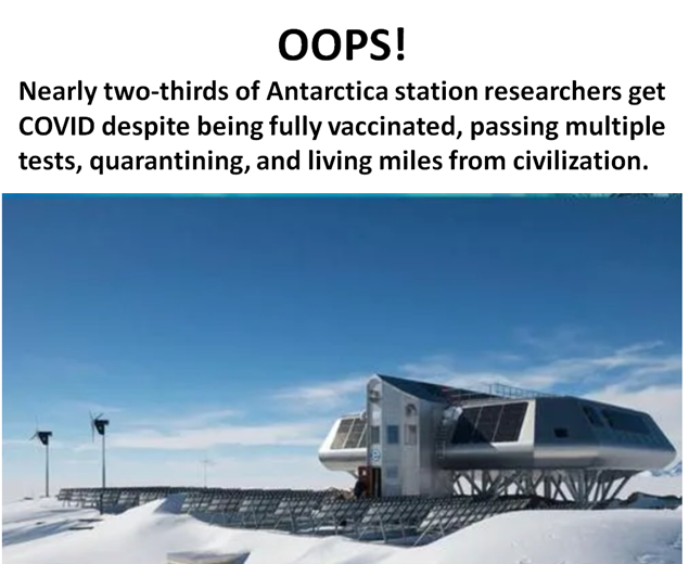 ee031a0d280638ed.png