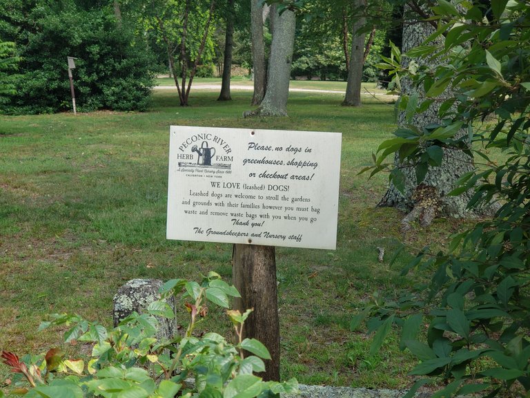 20230629_152734.jpg