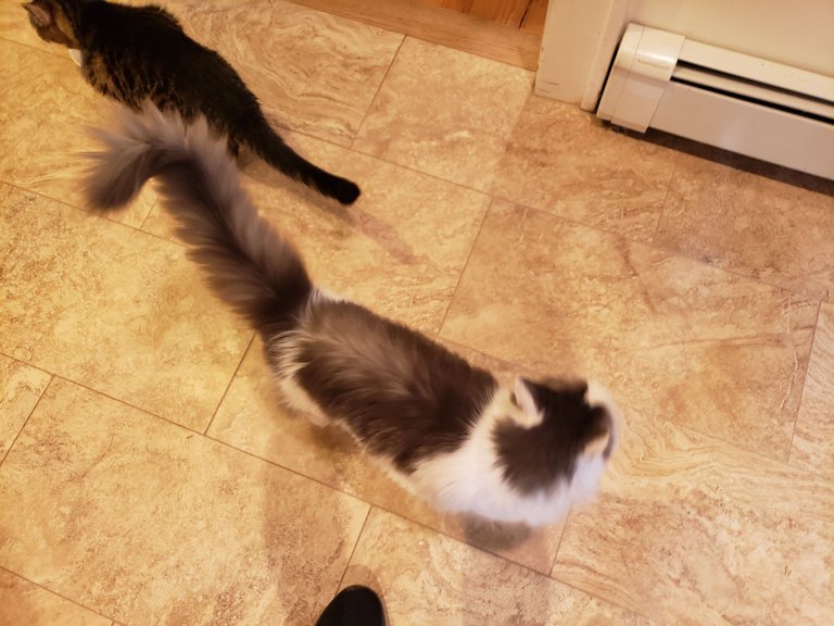 20230721_110800.jpg