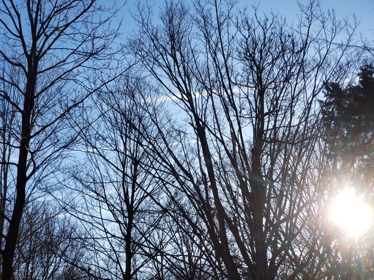 20231129_083632.jpg