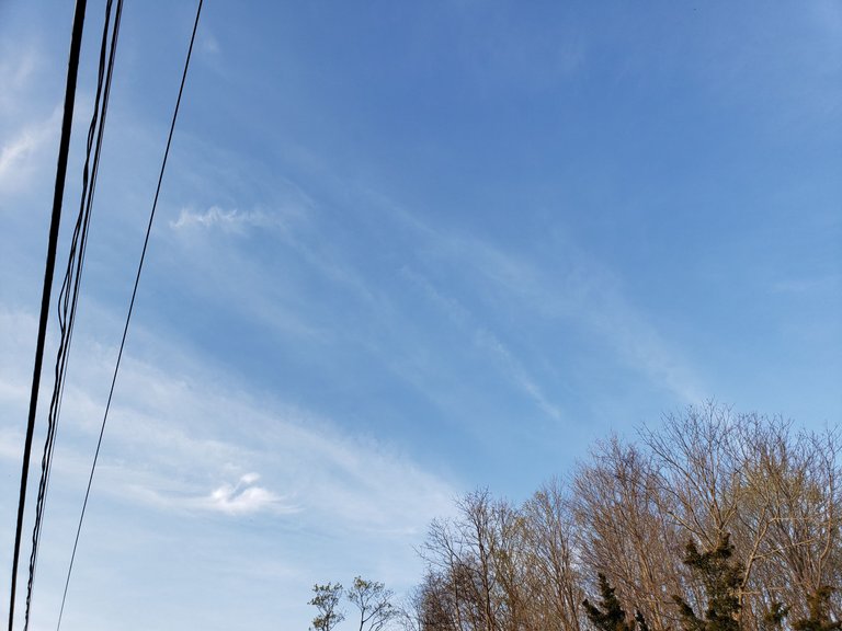 20230414_185140.jpg