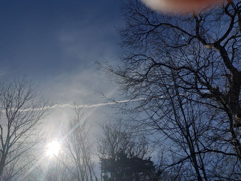 20230411_090305.jpg