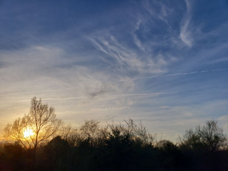 20230414_185108.jpg