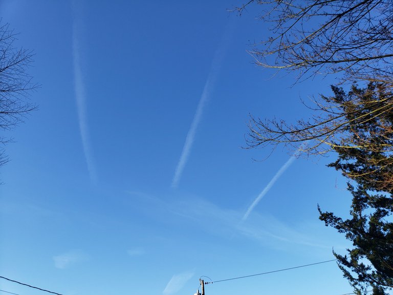 20231129_083554.jpg