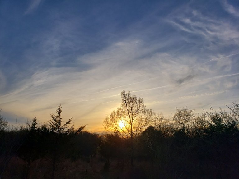 20230414_185105.jpg