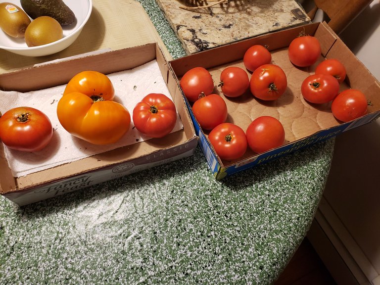 20220907_070358.jpg