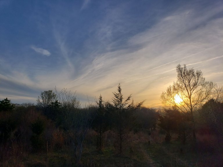 20230414_185102.jpg