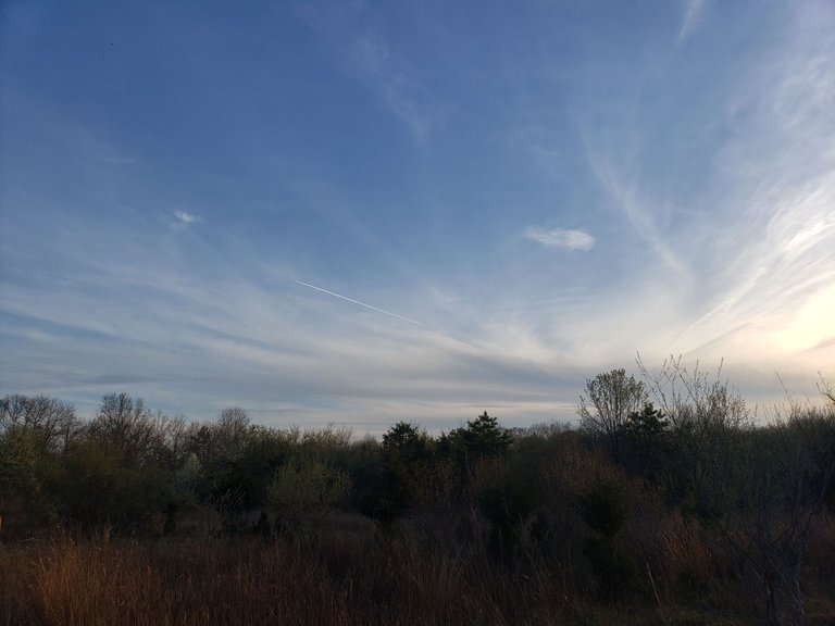 20230414_185053.jpg