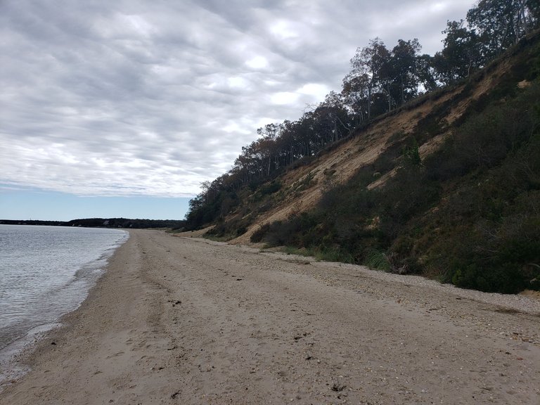 20231018_131301.jpg