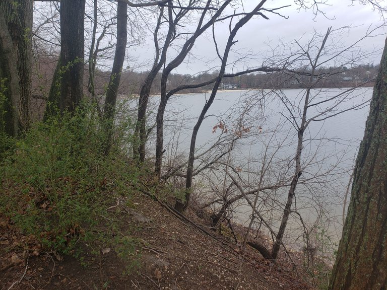 20250406_115925 - Copy.jpg