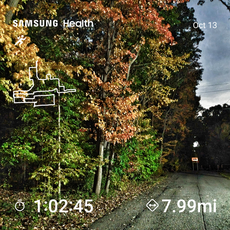 SHealth_03_51_10_811.png