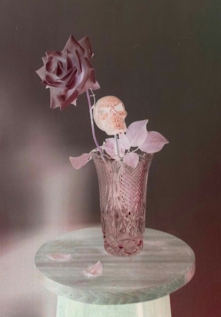 rosa y calavera.jpg