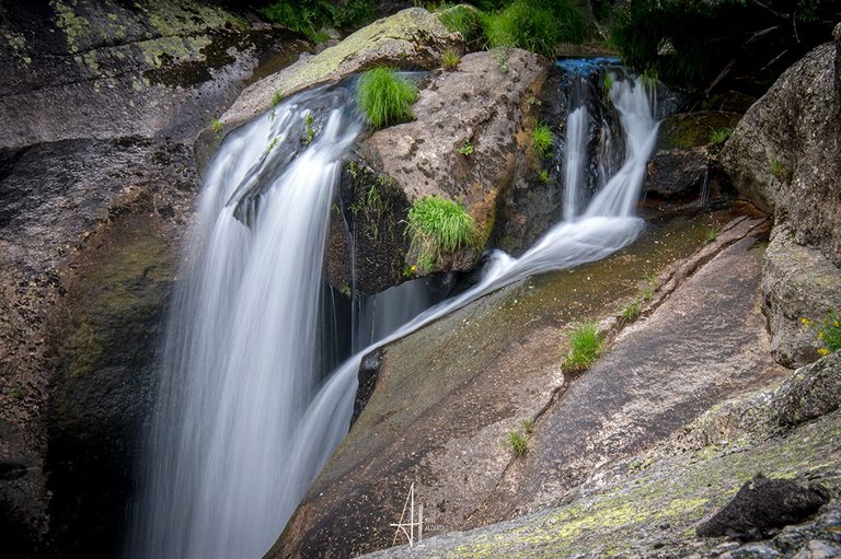DSC_7580.jpg