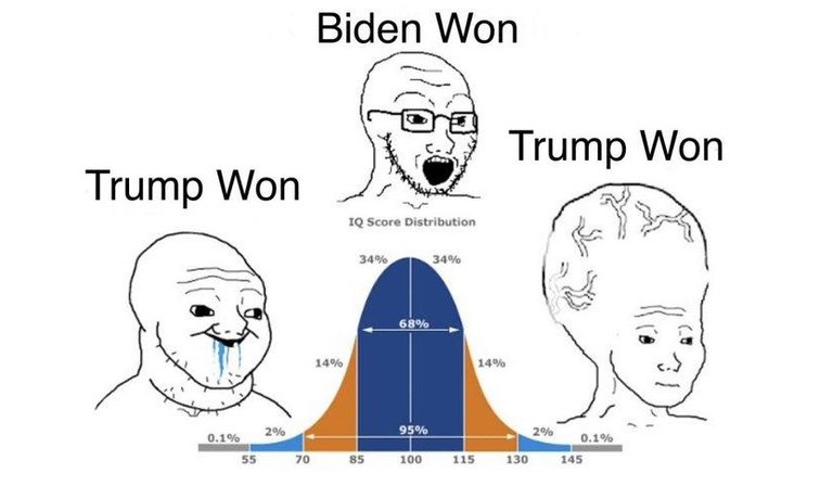 trump-iq-wojak-meme.jpg