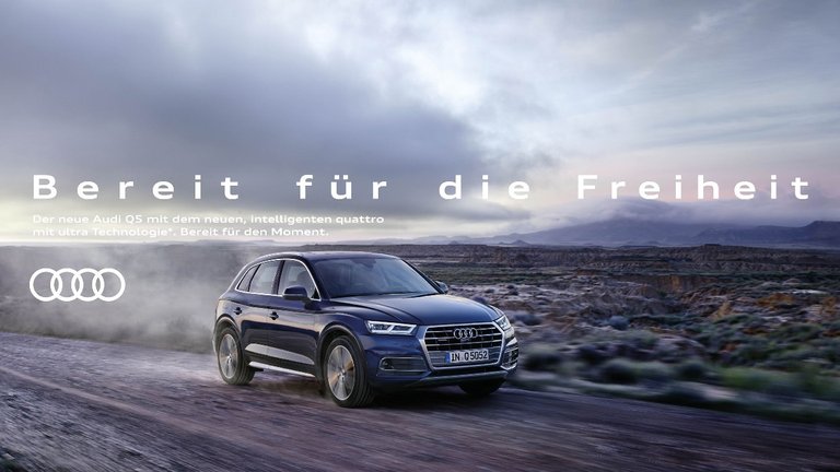 Audi-Q5-178494.jpeg