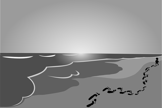 beach-146254_640.png