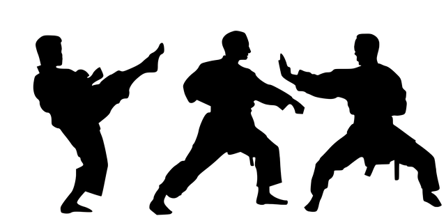 karate4002261_640.png