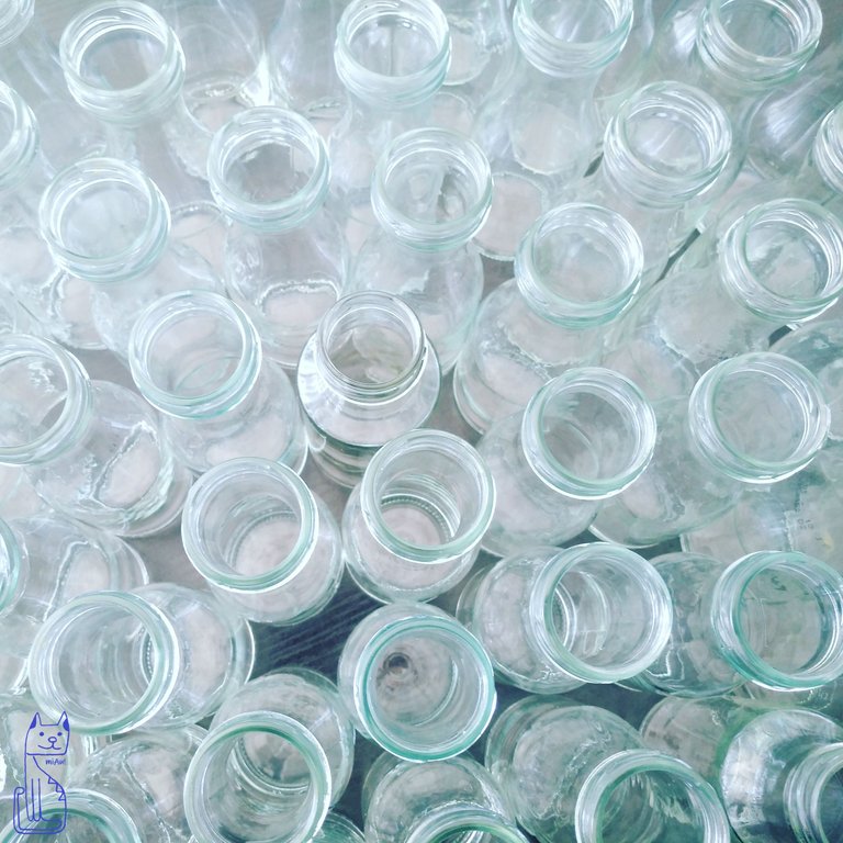 000 botellas limpias.jpg