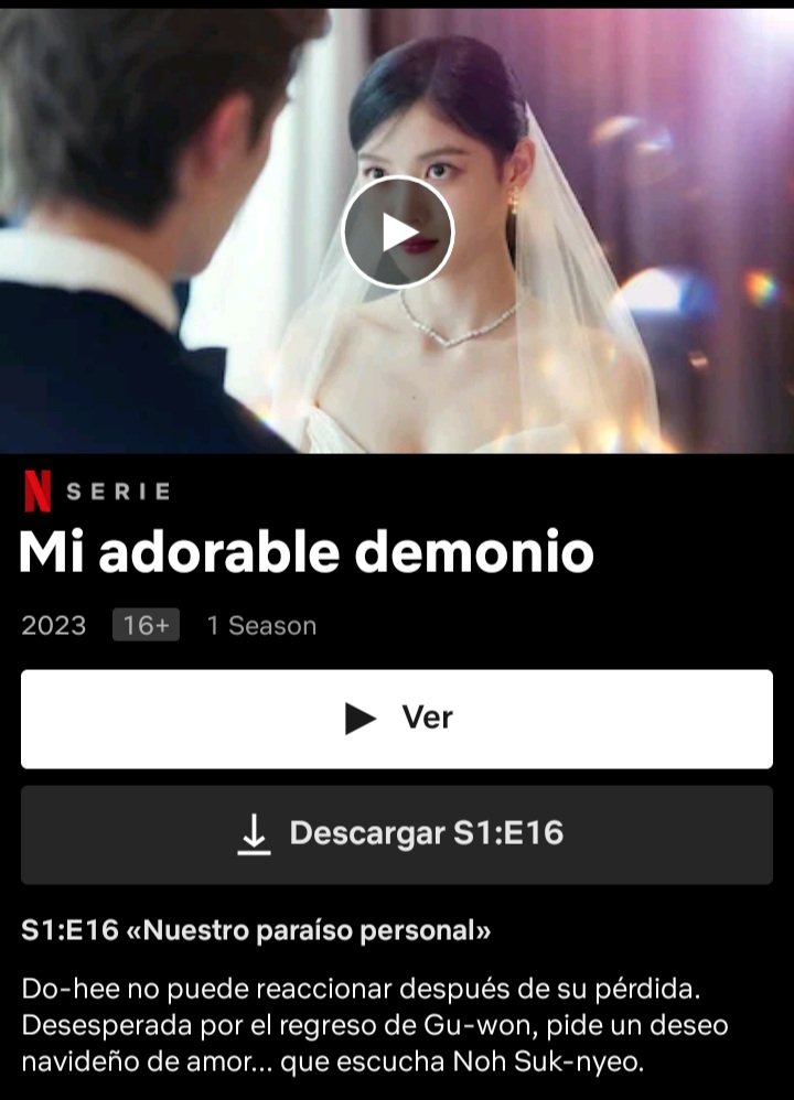 Screenshot_20250219-160829_Netflix.jpg