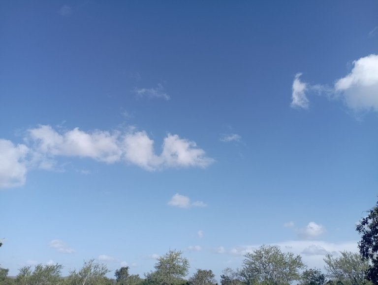 IMG_20250707_171741.jpg