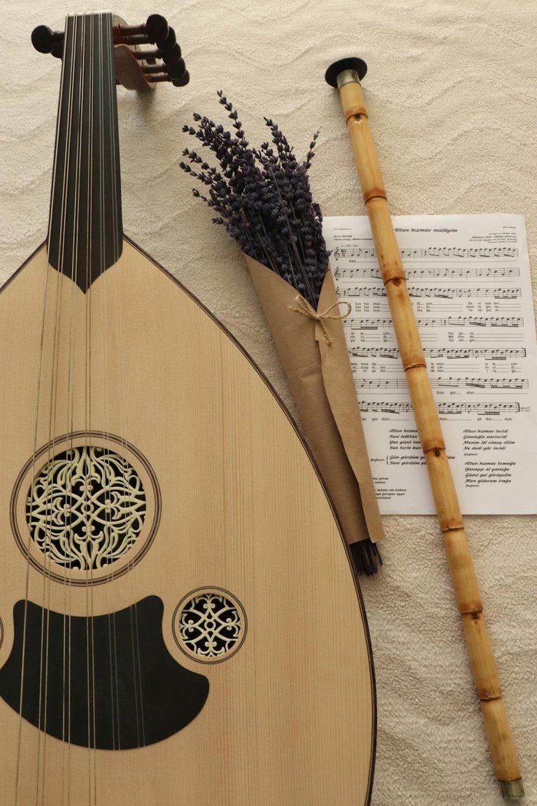 free-photo-of-instrumento-musical-tradicional-naturaleza-muerta-cuerda.jpeg