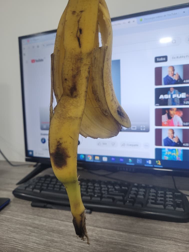 WhatsApp Image 2025-10-16 at 9.19.08 PM.jpeg