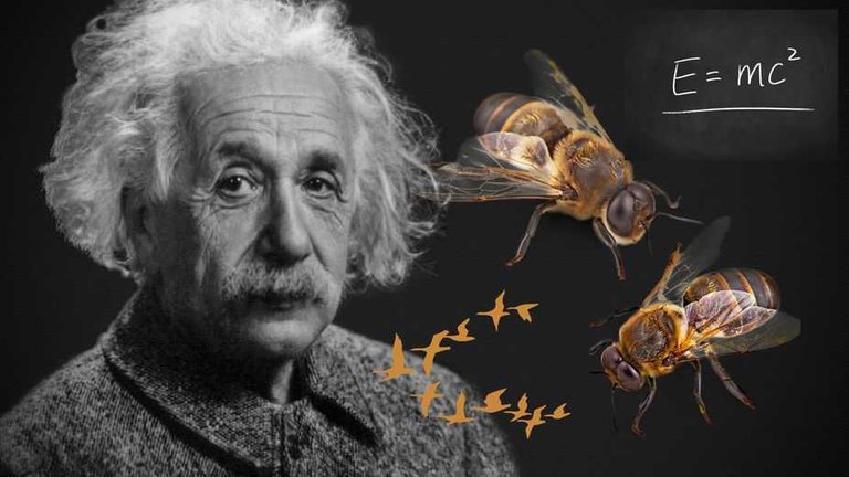 Einstein-y-las-abejas.jpg