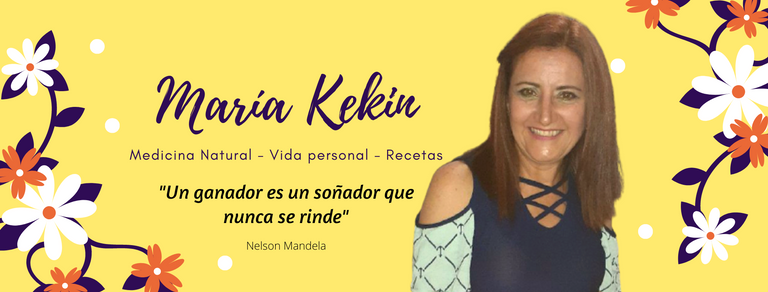 banner_maria_kekin_hive.png