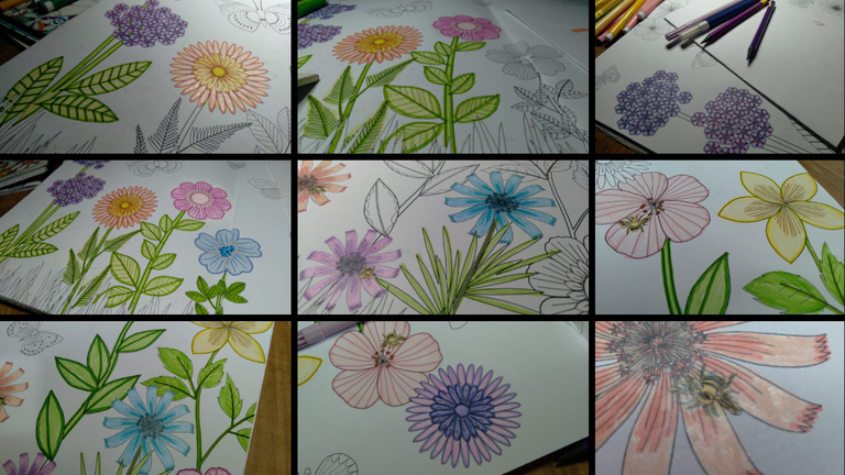 Coloring flowers to relax (1).png