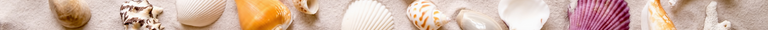 Hive Food (2).png