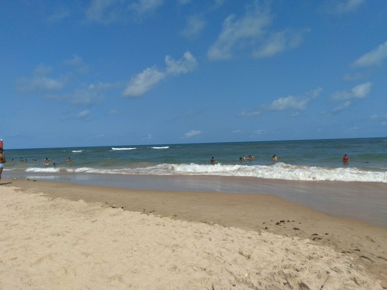 20221009_141525.jpg