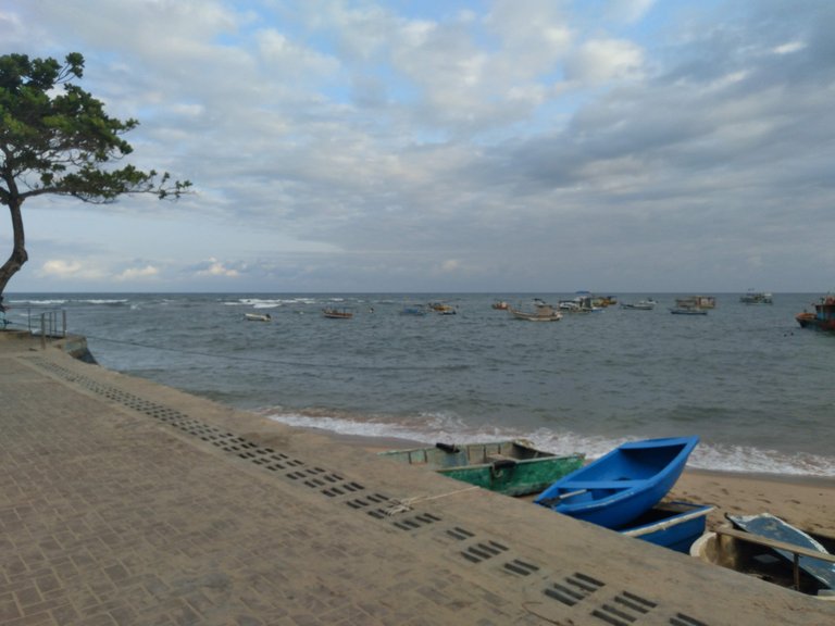 20221009_162605.jpg