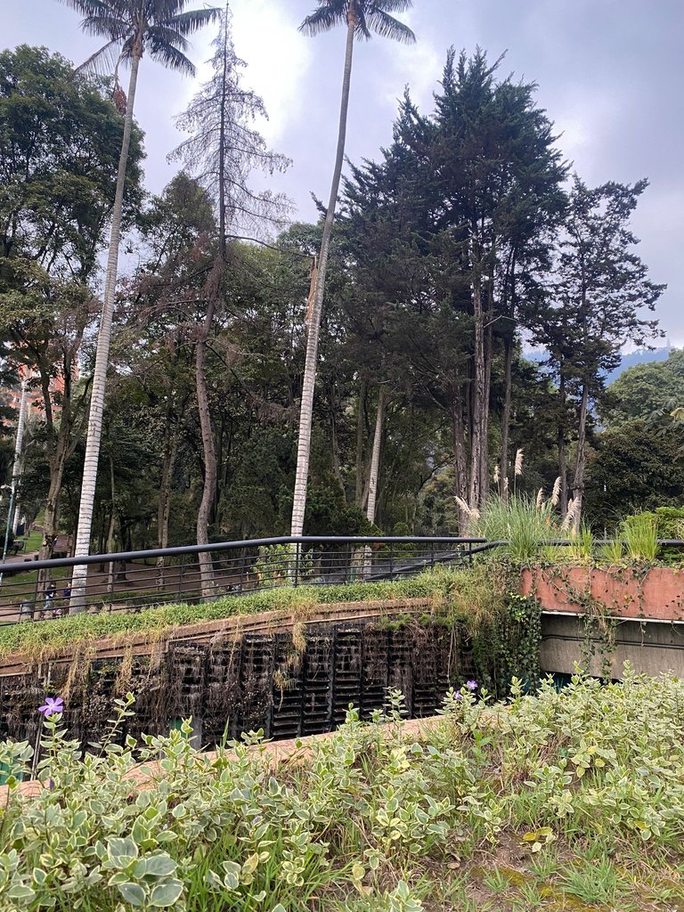 image00036.jpeg