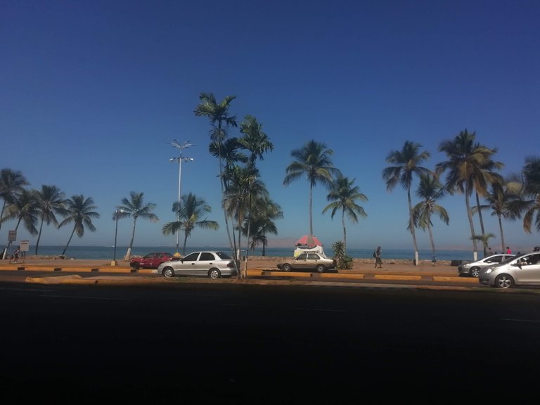 IMG_20190105_104157.jpg