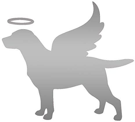 perro angel.jpg