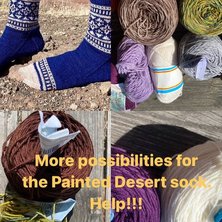 painted desert socks.jpg