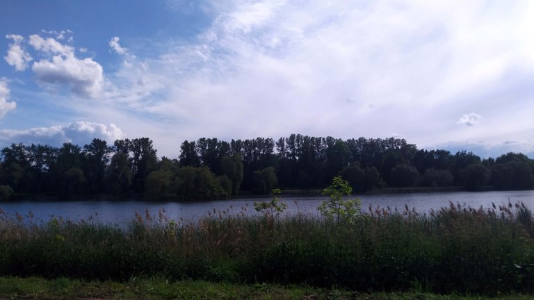 a03.jpg