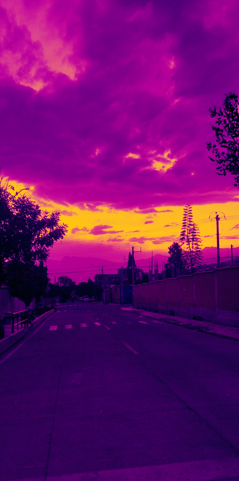 VAPORGRAM_IMG_1751426870140.png