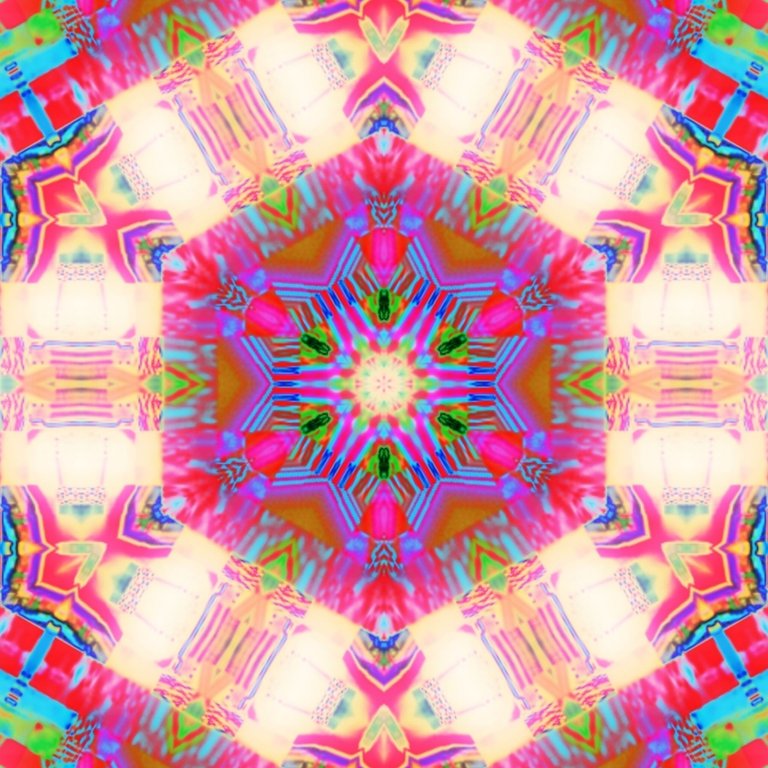 1000029062.jpg