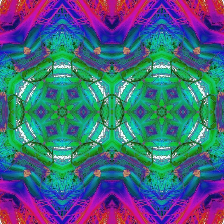 Tumblr_l_48002357738198_mirror4.jpg