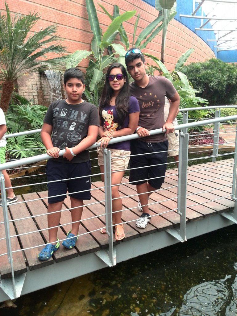 IMG_20140926_120852_Original.jpeg