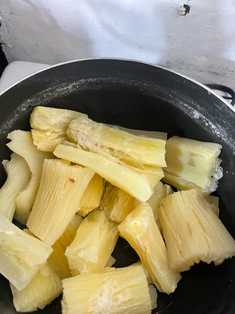 IMG_0548.jpeg