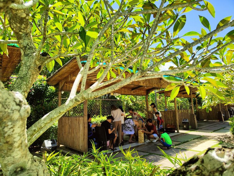 The adults hiding under the shade