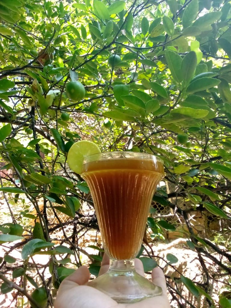 [ENG/ESP] Refreshing Papelón Juice with Lemon tradition of my Region.🍋🍹 