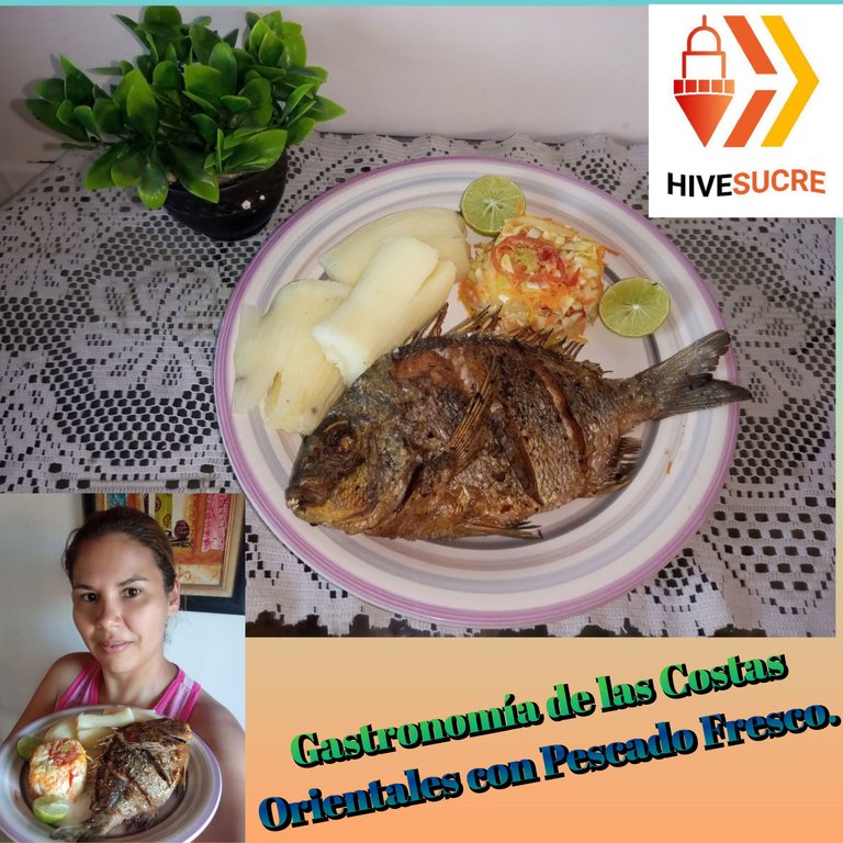 [ESP/ENG] Enjoying the Gastronomy of Sucre State with Fresh Fish Accompanied by Yucca and Mixed Salad.