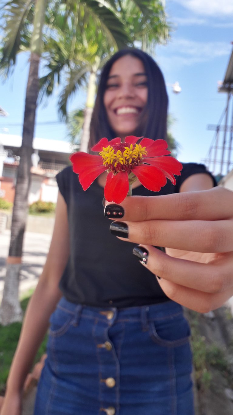 Una flor para ti 🌷🧡