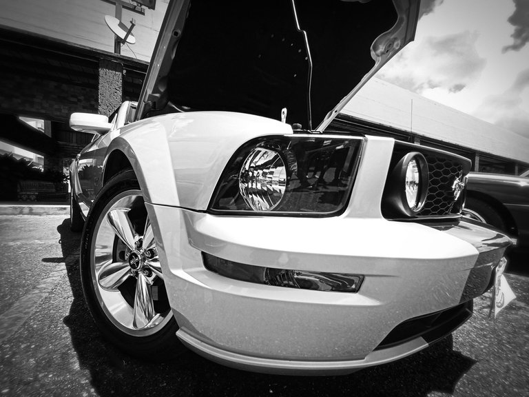 PSX_20220416_161155.jpg