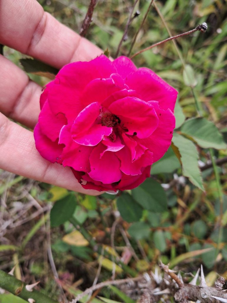 $1