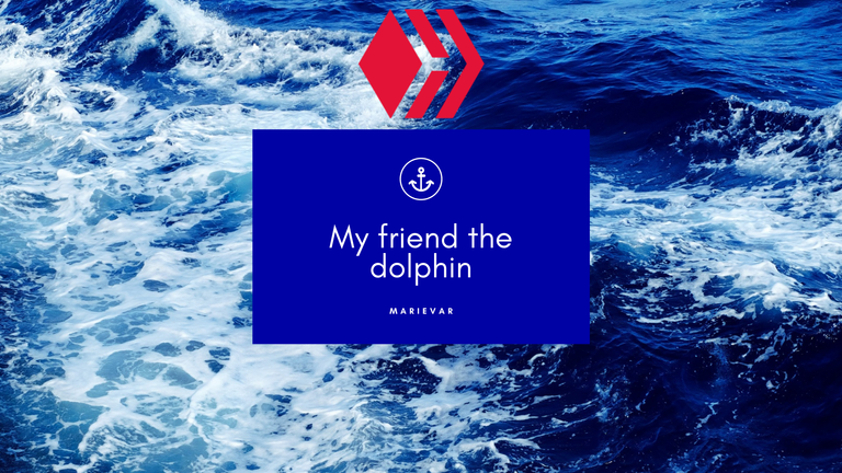 My friend the dolphin.png