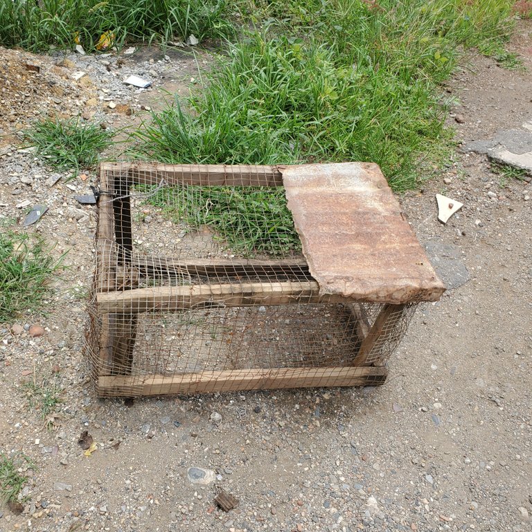 20250527_115827.jpg